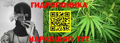гашик Гусиноозёрск