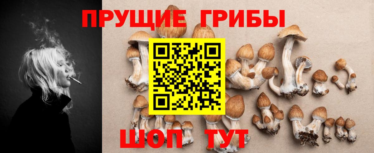 Псилоцибиновые грибы мухоморы  Галлюциногенные грибы Cubensis  Печора  Вход с VPN 
